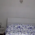 Viky House